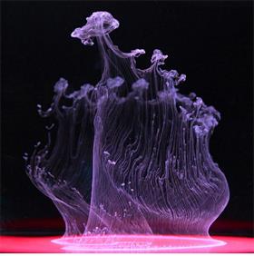 墨水和水的震撼视觉盛宴